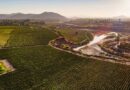 Concha y Toro, Cono Sur y Bonterra Organic Estates triunfan en los The Drinks Business Green Awards 2022