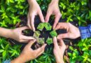 Pirque Verde: Proyectos de Sustentabilidad y Conservación Ambiental