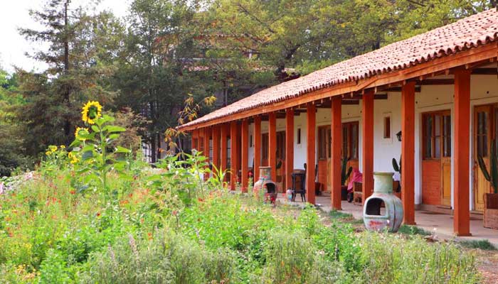 ¿Qué tienen en común un portón de hierro forjado, una alameda centenaria y una casa patronal de adobe que resiste el paso del tiempo? La respuesta está en Pirque, ese rincón mágico del Valle del Maipo donde la arquitectura colonial no solo se conserva: se vive. Recomiendo Pirque, NatGeo, Conde Nast Traveler.
