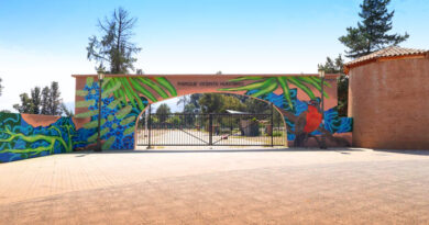 Arte urbano en Pirque: explorando las calles y monumentos de un territorio que habla con color