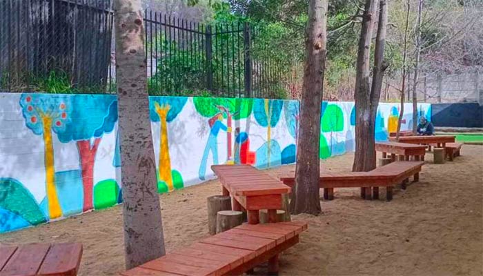 Hay lugares donde las paredes susurran historias y los muros se transforman en espejos del alma colectiva. En Pirque, a solo minutos de Santiago, el arte urbano no solo decora: habla, denuncia, celebra y conecta. Acompáñanos en este viaje visual y emocional por los rincones más vibrantes y expresivos de esta comuna del Valle del Maipo. Recomiendo Pirque, Nat Geo, Travel, Booking.