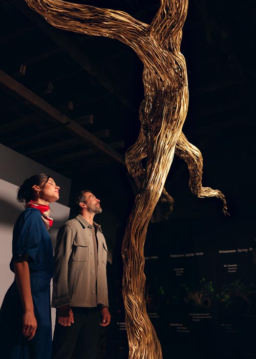 La Vitis El Origen de una Leyenda Concha y Toro Centro del Vino Chile enoturismo Recomiendo Pirque NatGeo Traveller Latam