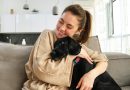 Ser Pet Friendly y la importancia de hacerte cargo de un perro o un gato