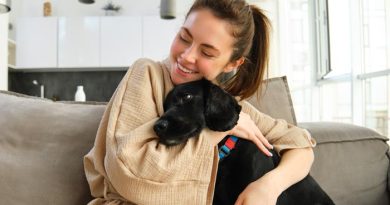 Ser Pet Friendly y la importancia de hacerte cargo de un perro o un gato