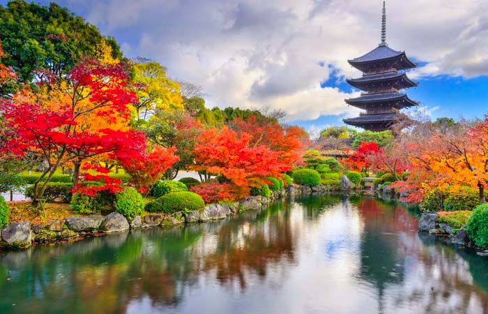 Este reportaje no es una lista convencional. Es una colección de destinos que despiertan algo interno, lugares donde la naturaleza, la historia y la imaginación parecen conspirar para crear experiencias inolvidables. Aquí conviven la elegancia de los viajes bien contados con el espíritu aventurero que busca lo desconocido. Recomiendo Pirque, Nat Geo, Travel, Google.