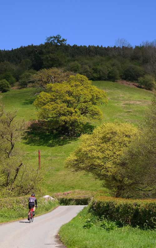 Este reportaje es una invitación a descubrir Pirque en bicicleta, un viaje sensorial que combina rutas escénicas, patrimonio, naturaleza viva y la libertad que solo el cicloturismo puede ofrecer. Recomiendo Pirque, Nat Geo, Travel, Cicloturismo.