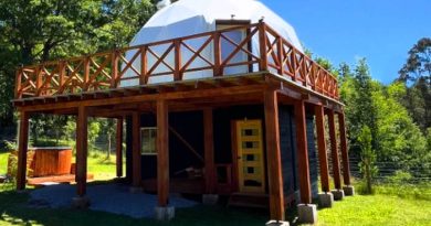 Juan Pablo Sandoval: Tiny Home Pucón y la tranquilidad rodeada de naturaleza