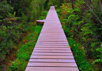 3.006 kilómetros hacia el sur: una travesía por los caminos rurales más profundos de Chile