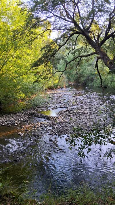 Fueron 3.006 kilómetros por caminos rurales del sur de Chile, en vehículo, acampando bajo las estrellas la mayor parte del trayecto, siguiendo lagos, volcanes, bosques y mares interiores. Un viaje donde el tiempo se diluyó, donde cada curva traía una postal distinta y donde la naturaleza marcó el ritmo.
Este no es solo un relato de lugares. Es la crónica de una travesía donde el sur mostró su rostro más íntimo, salvaje y poético. Recomiendo Pirque, Travel, Nat Geo, Curacautín.