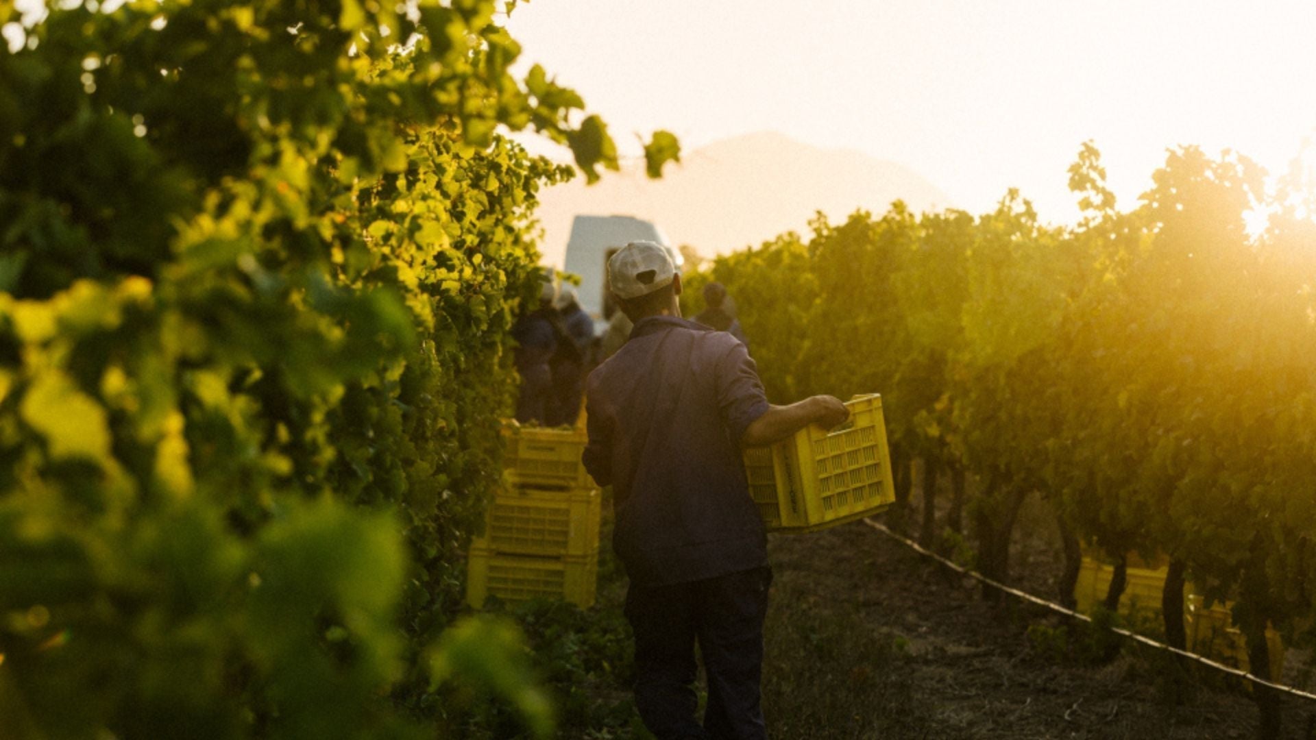 Vendimia en Pirque 2026: el secreto mejor guardado del Valle del Maipo que los viajeros están descubriendo. Recomiendo Pirque, Nat Geo, Travel, Sernatur. Marcelo Arre.