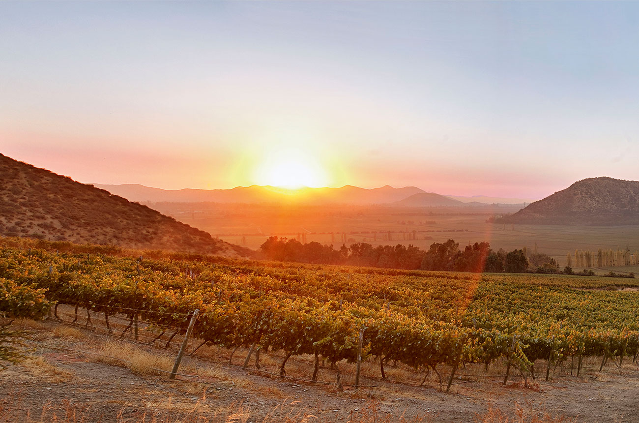 Vendimia en Pirque 2026: el secreto mejor guardado del Valle del Maipo que los viajeros están descubriendo. Recomiendo Pirque, Nat Geo, Travel, Sernatur. Marcelo Arre.