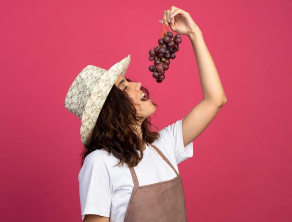 Vendimia en Pirque 2026: el secreto mejor guardado del Valle del Maipo que los viajeros están descubriendo. Recomiendo Pirque, Nat Geo, Travel, Sernatur. Marcelo Arre.